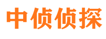 孝南市侦探公司